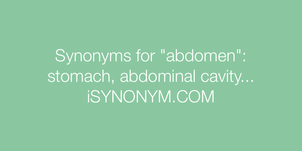 Synonyms abdomen