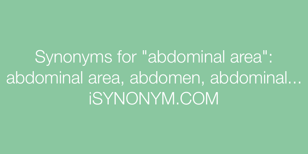 Synonyms abdominal area