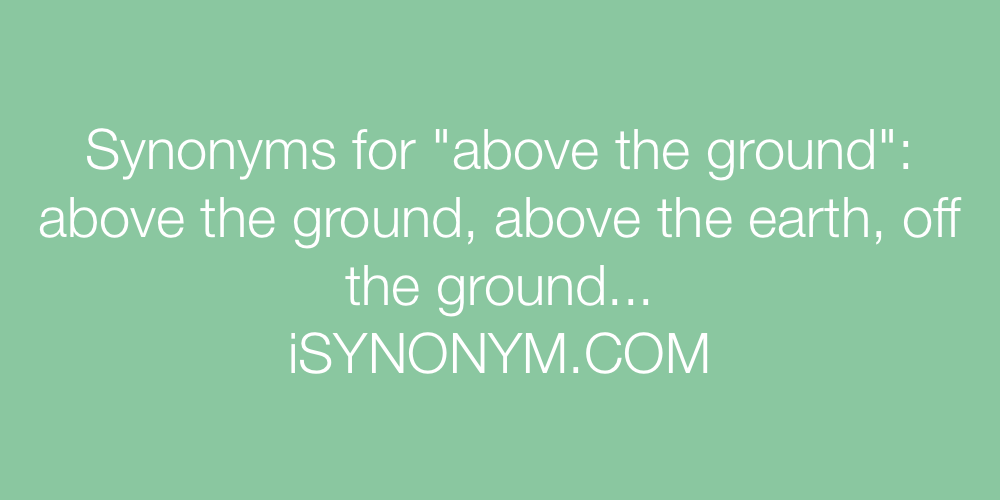 Synonyms above the ground