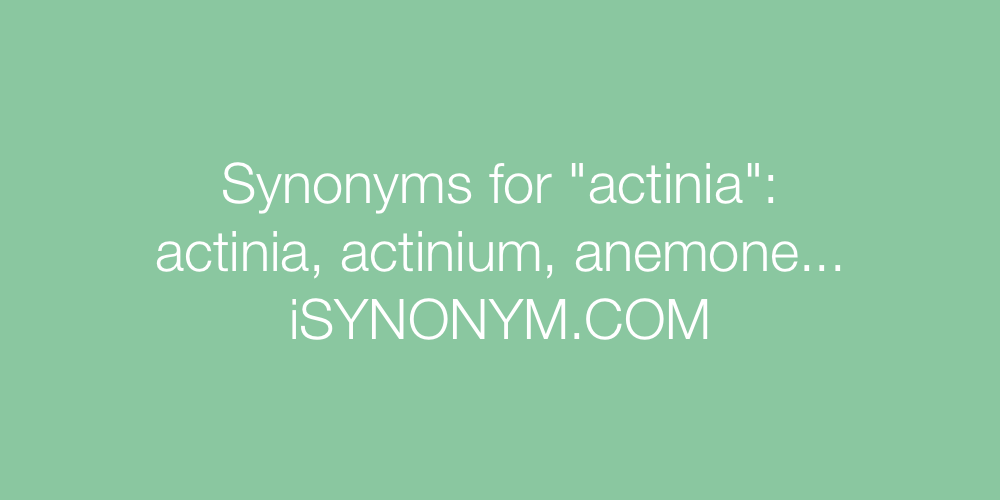 Synonyms actinia
