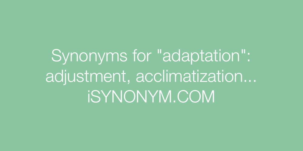Synonyms adaptation