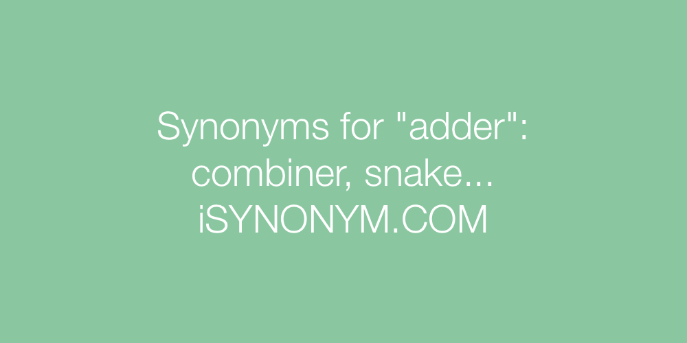 Synonyms adder