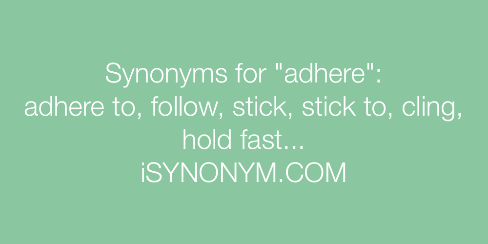 Synonyms adhere