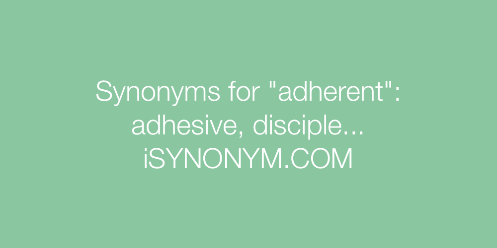 Synonyms adherent