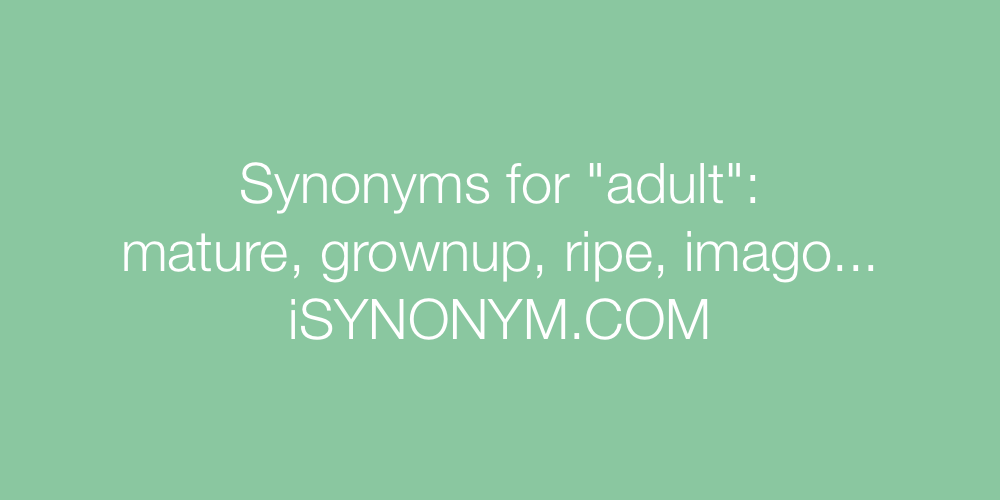 Synonyms adult