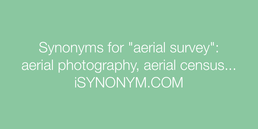 Synonyms aerial survey