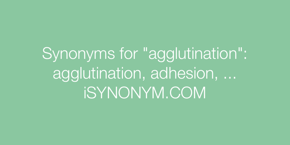 Synonyms agglutination