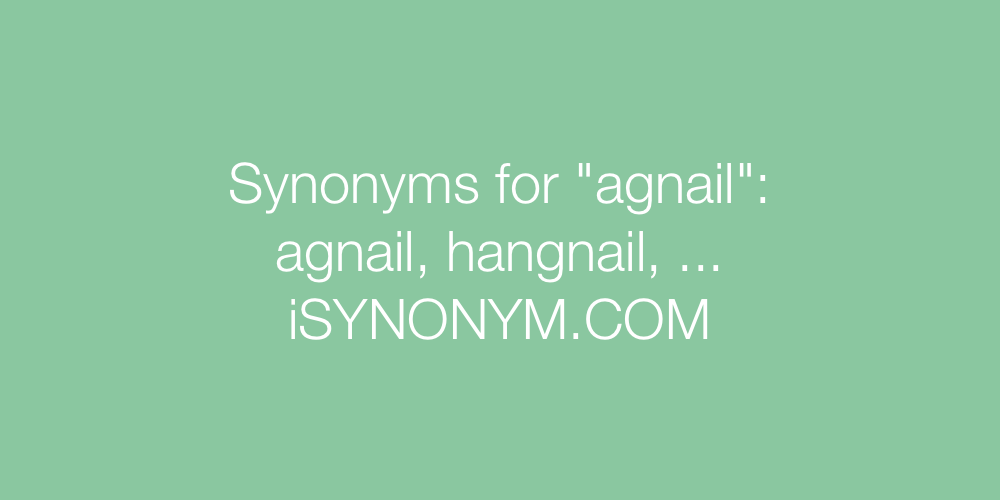 Synonyms agnail