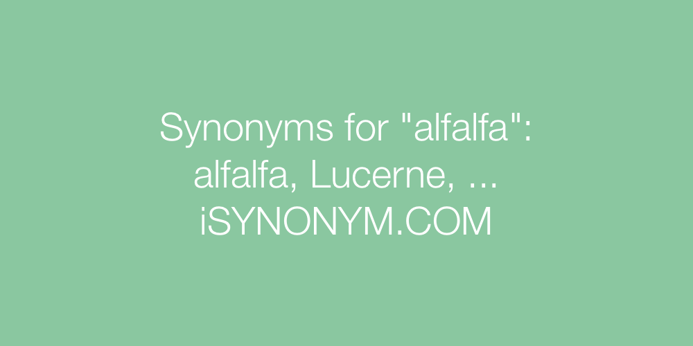Synonyms alfalfa