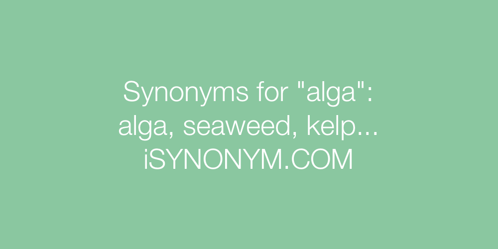Synonyms alga