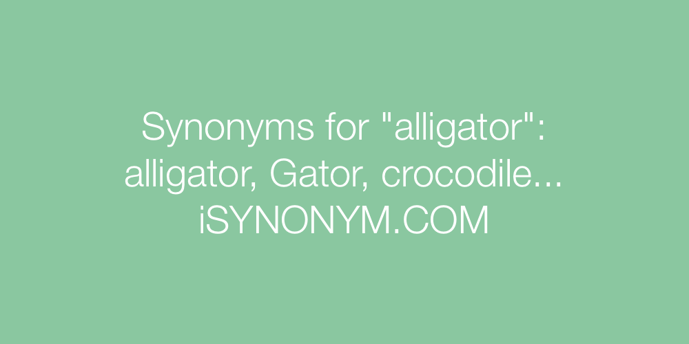 Synonyms alligator