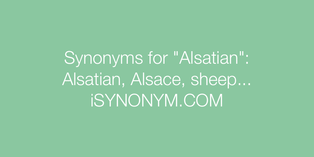 Synonyms Alsatian