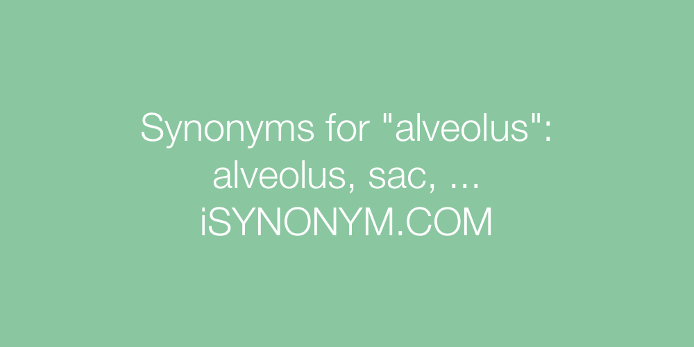 Synonyms alveolus