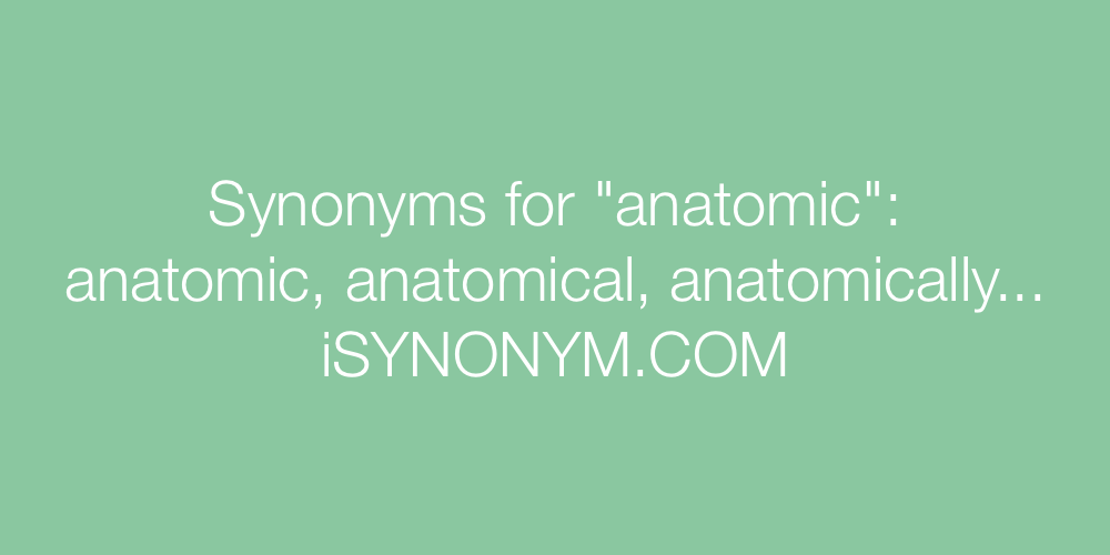Synonyms anatomic