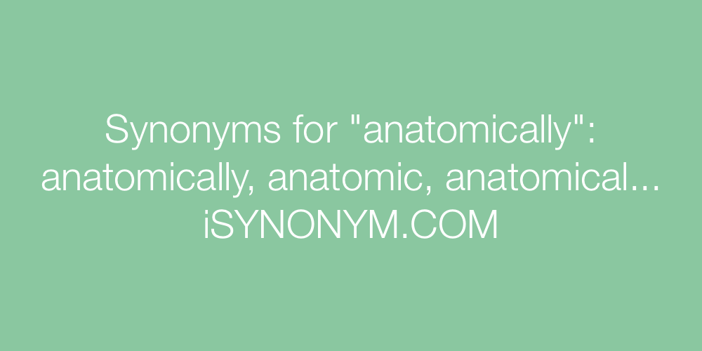 Synonyms anatomically