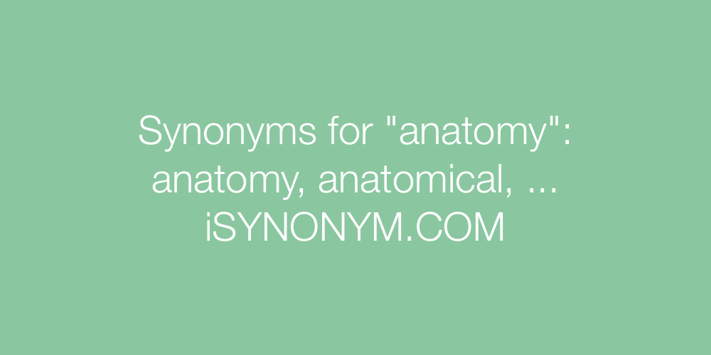 Synonyms anatomy