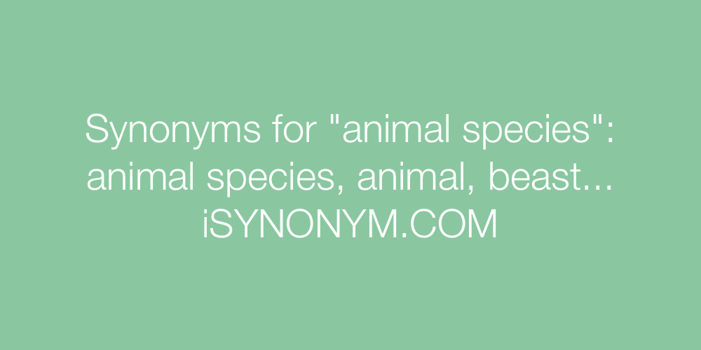 Synonyms animal species