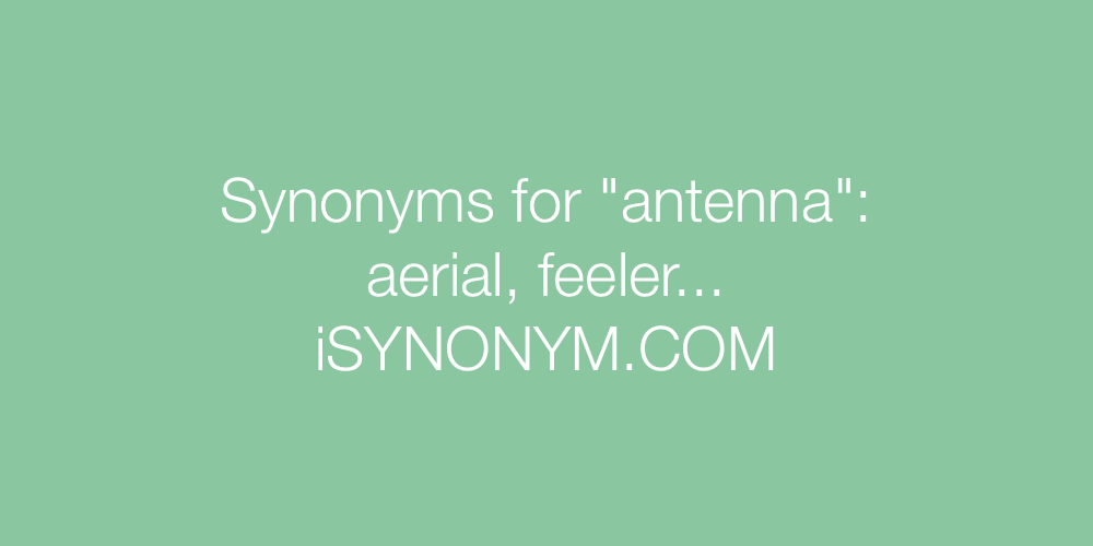 Synonyms antenna