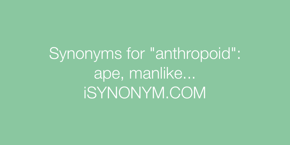 Synonyms anthropoid
