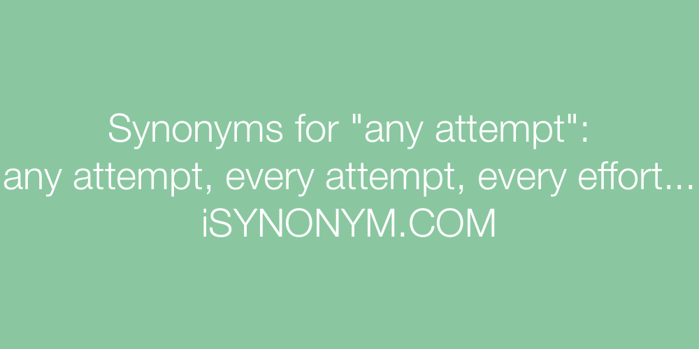 Synonyms any attempt