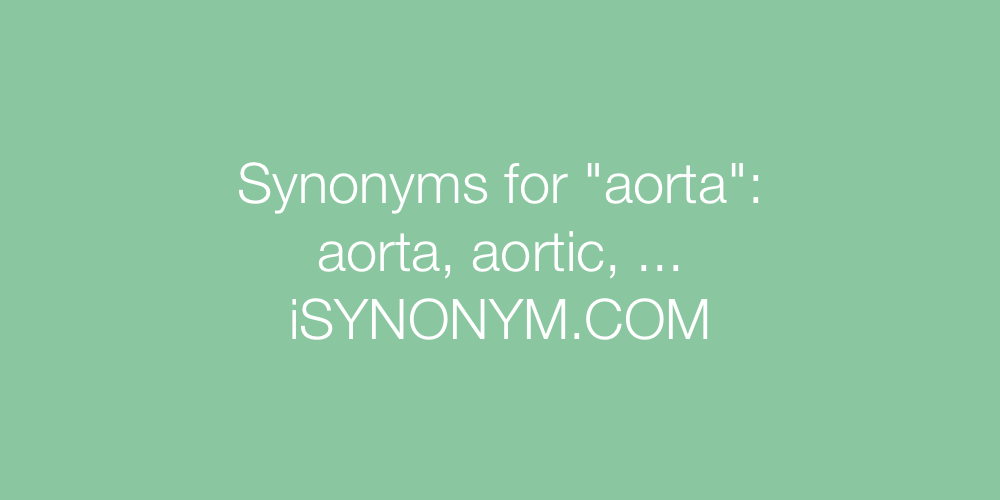 Synonyms aorta
