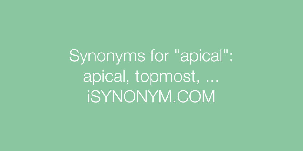 Synonyms apical
