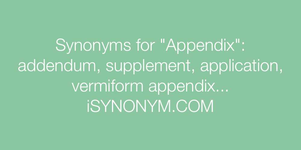 Synonyms Appendix