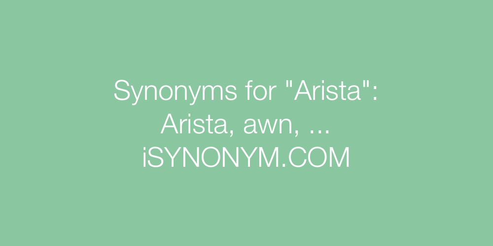 Synonyms Arista