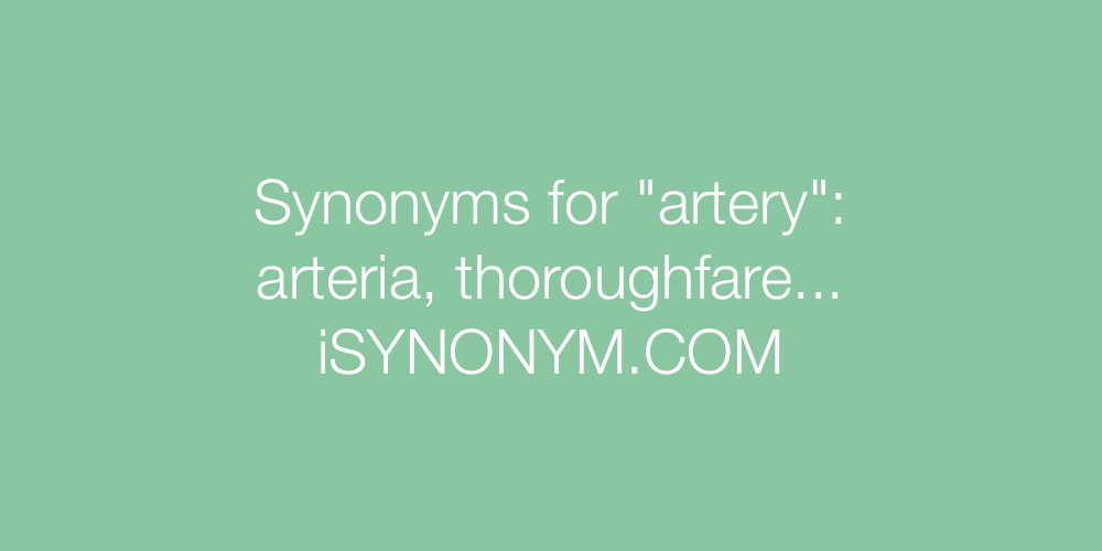 Synonyms artery