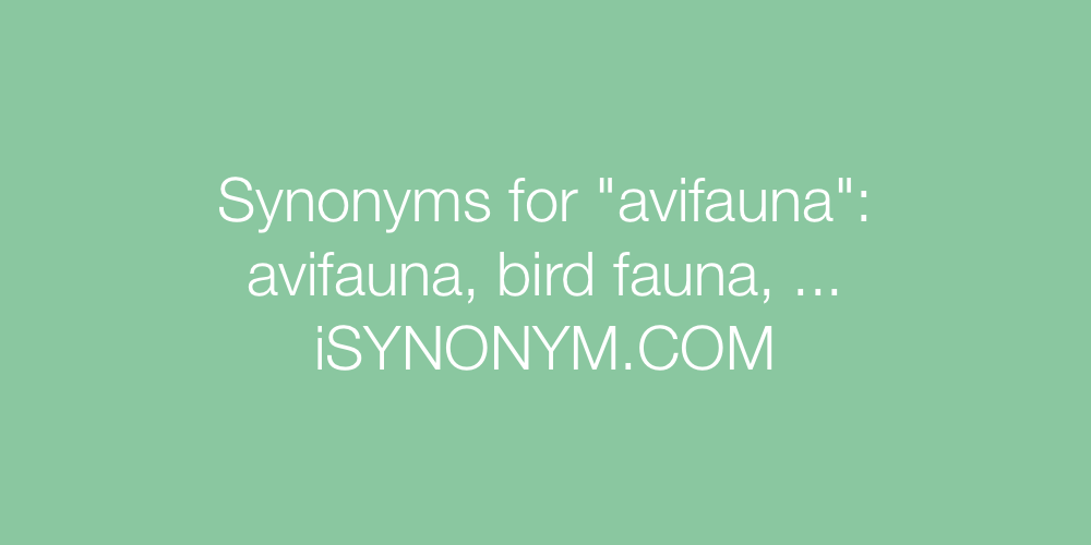 Synonyms avifauna