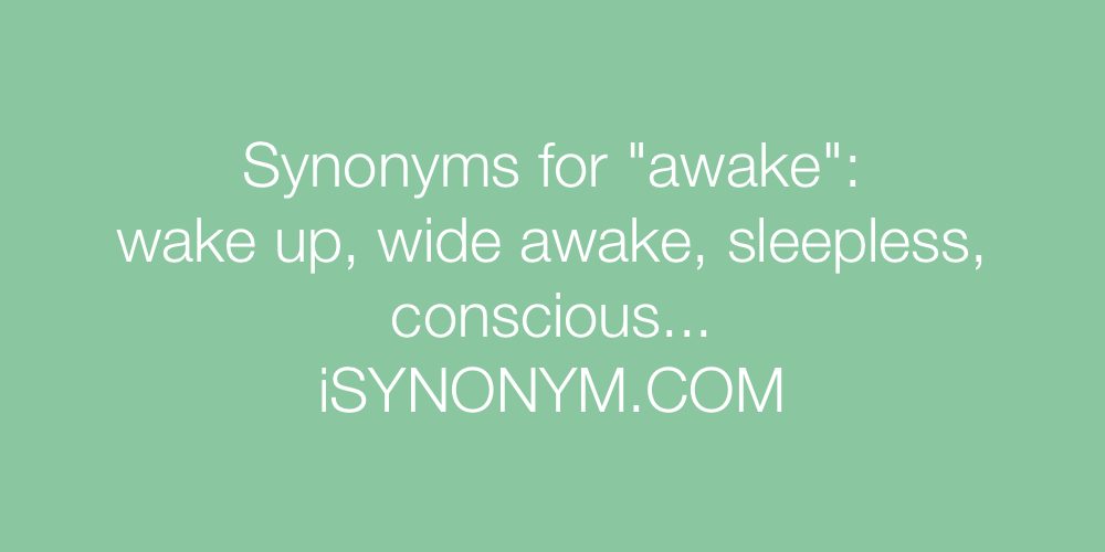 Synonyms awake