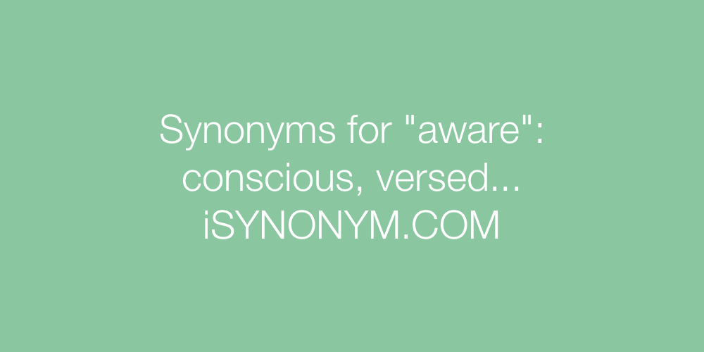 Synonyms aware