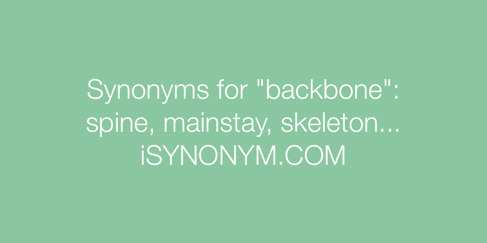 Synonyms backbone