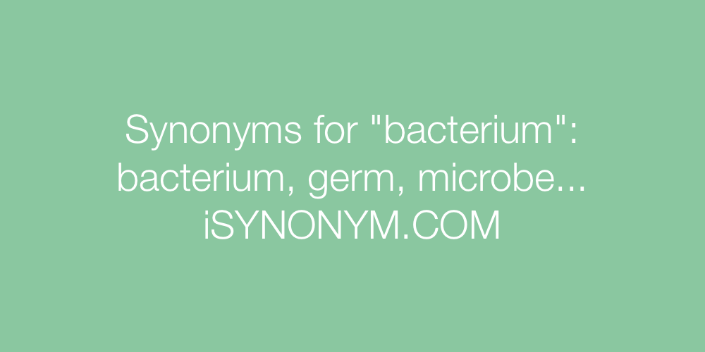 Synonyms bacterium