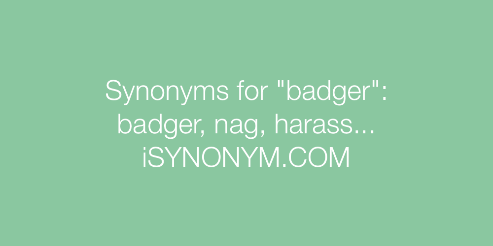 Synonyms badger