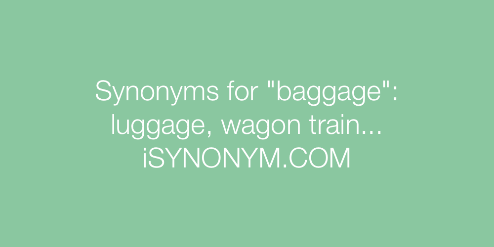 Synonyms baggage