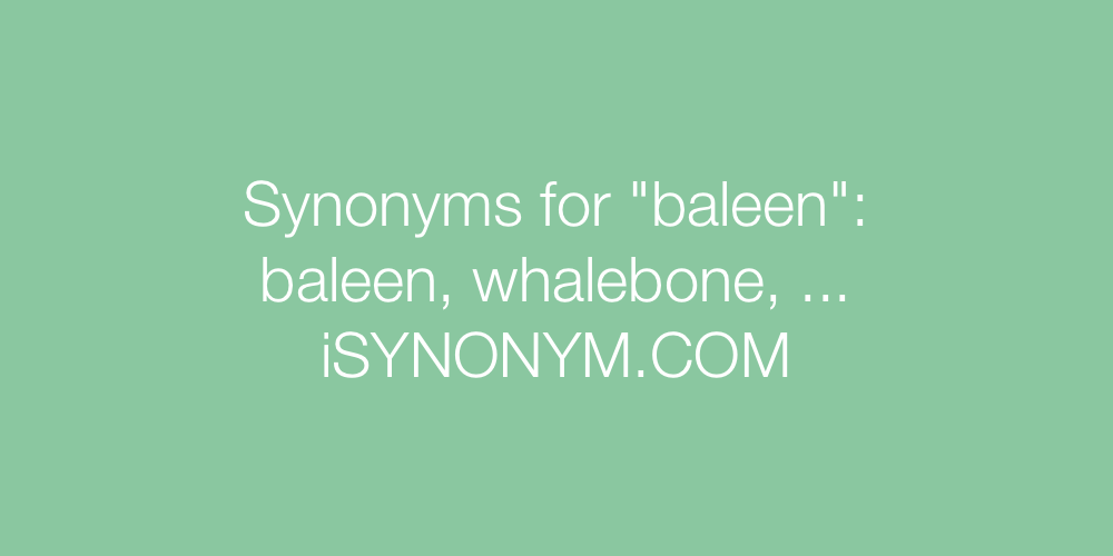 Synonyms baleen