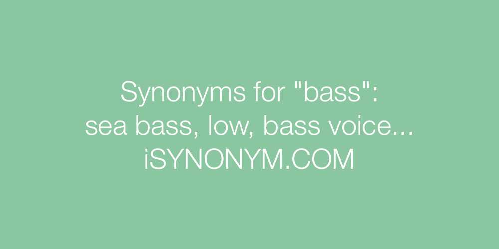 Synonyms bass