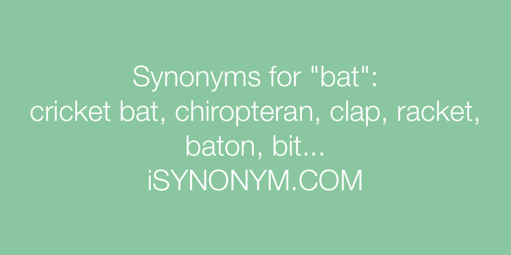 Synonyms bat