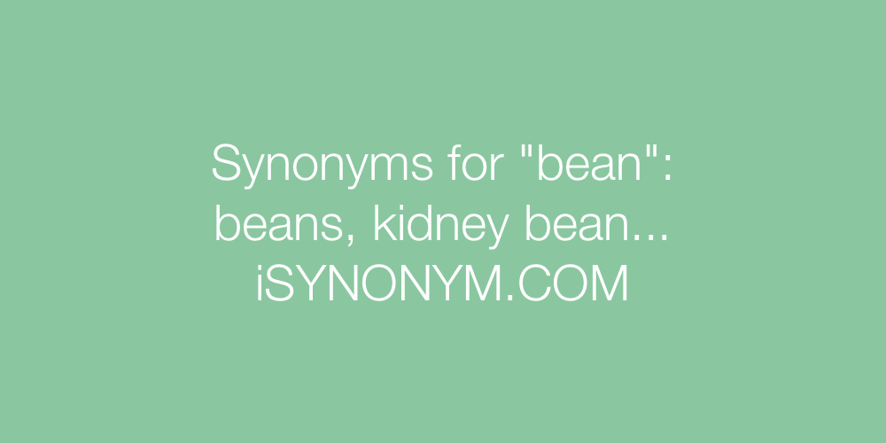 Synonyms bean