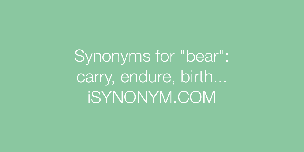 Synonyms bear