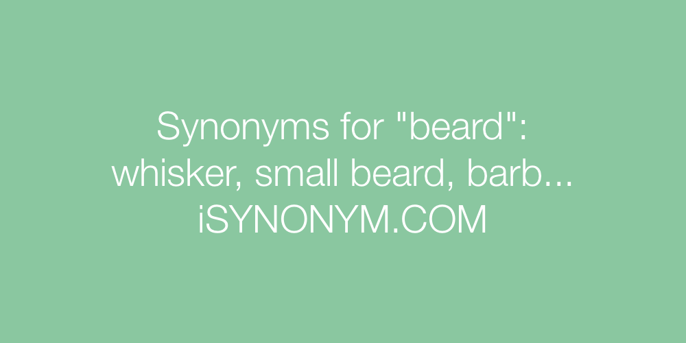 Synonyms beard