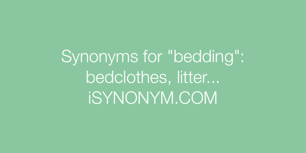 Synonyms bedding