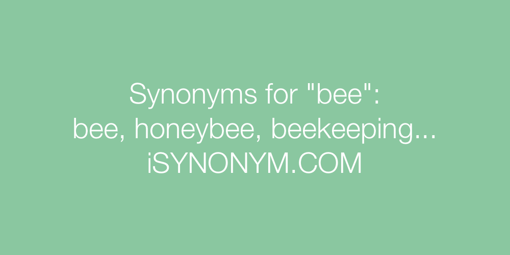 Synonyms bee