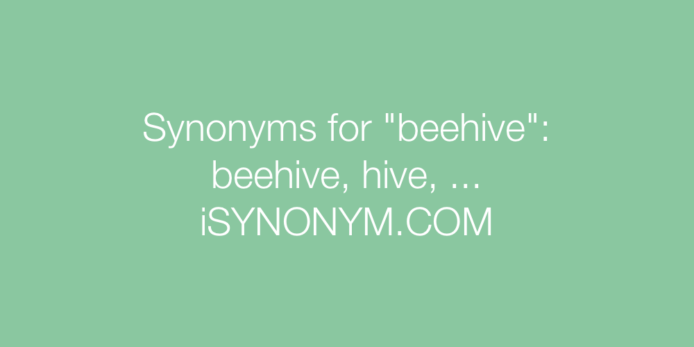 Synonyms beehive