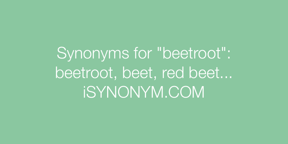 Synonyms beetroot
