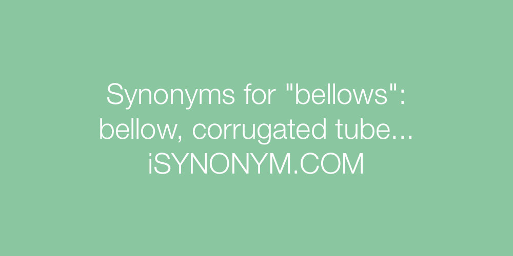 Synonyms bellows