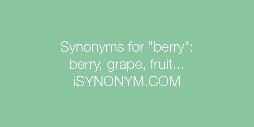 Synonyms berry