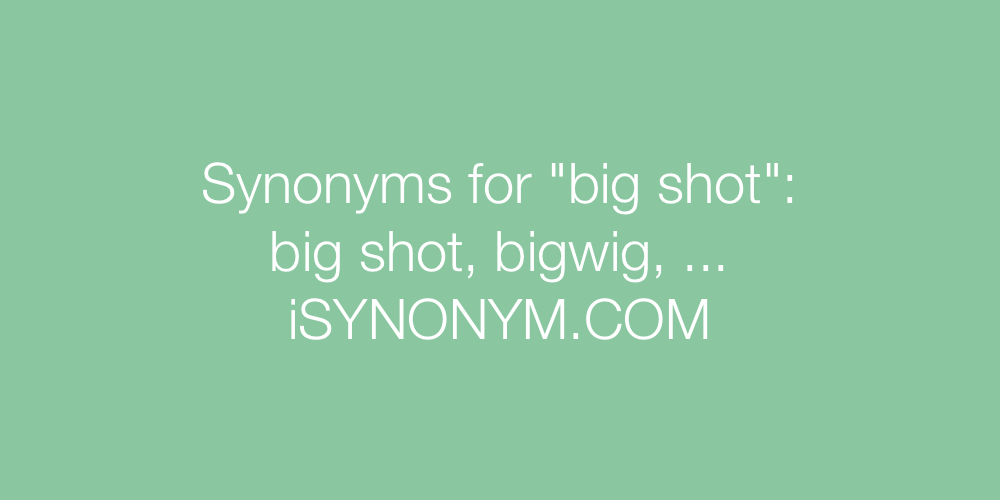 Synonyms big shot