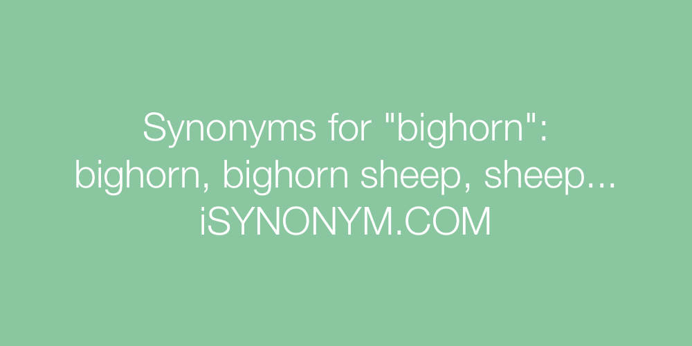 Synonyms bighorn